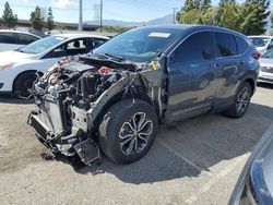 Honda cr-v ex Vehiculos salvage en venta: 2020 Honda CR-V EX