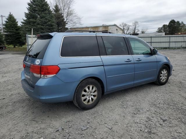 2010 Honda Odyssey EXL