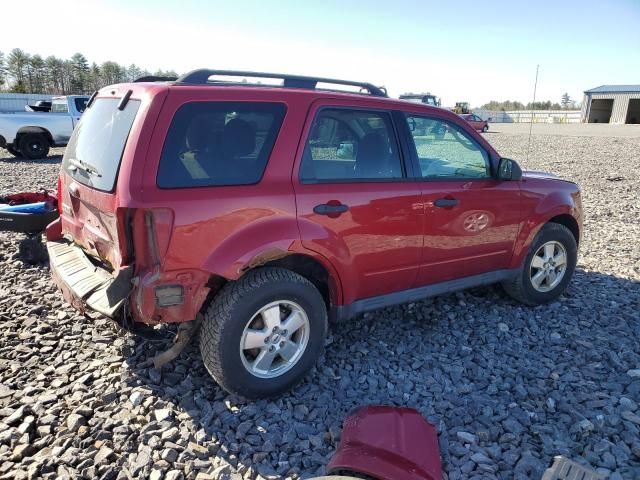 2011 Ford Escape XLT