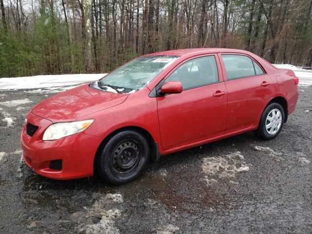 2009 Toyota Corolla Base