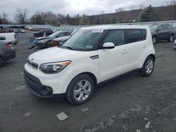 KIA salvage cars for sale: 2019 KIA Soul