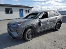 Salvage cars for sale from Copart Airway Heights, WA: 2023 Toyota Rav4 XSE