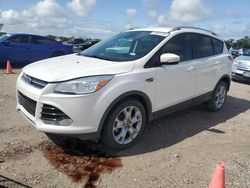 Salvage cars for sale from Copart Houston, TX: 2015 Ford Escape Titanium