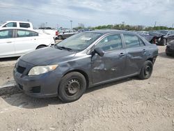 Salvage cars for sale from Copart Indianapolis, IN: 2010 Toyota Corolla Base