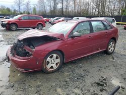 Salvage cars for sale at Waldorf, MD auction: 2005 Chevrolet Malibu Maxx LT