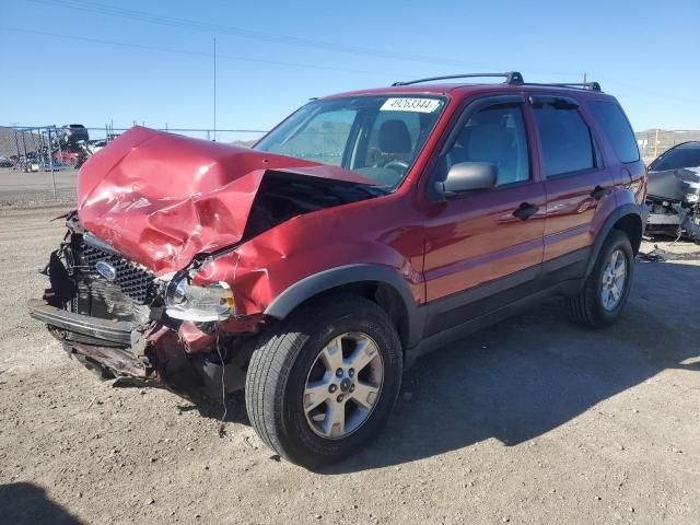 2006 Ford Escape XLT