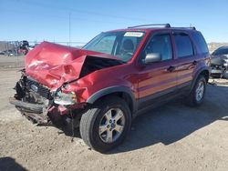 Ford Escape xlt salvage cars for sale: 2006 Ford Escape XLT