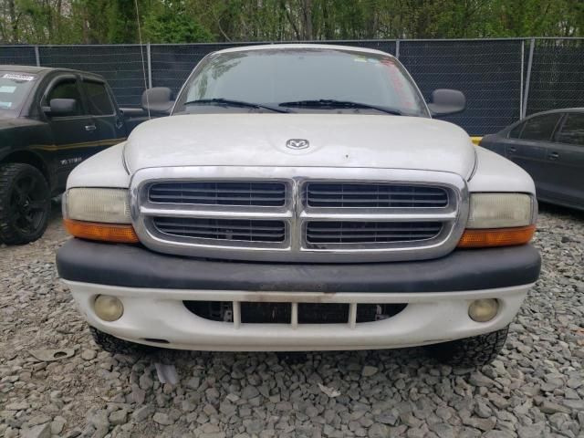 2004 Dodge Dakota Quad Sport