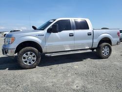 Ford salvage cars for sale: 2013 Ford F150 Supercrew