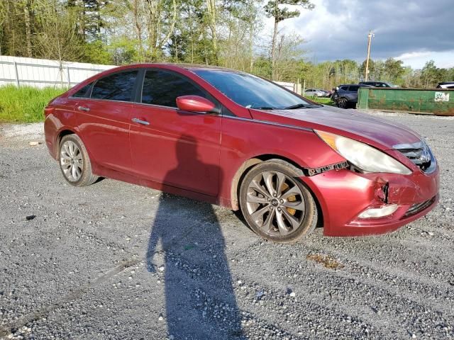 2011 Hyundai Sonata SE