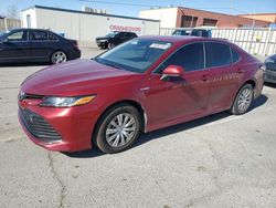 Vehiculos salvage en venta de Copart Anthony, TX: 2019 Toyota Camry LE