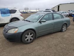 Salvage cars for sale at Rocky View County, AB auction: 2004 Nissan Altima Base