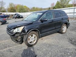 Vehiculos salvage en venta de Copart Grantville, PA: 2010 Honda CR-V EXL