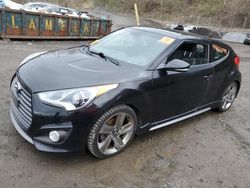 Salvage cars for sale from Copart Marlboro, NY: 2013 Hyundai Veloster Turbo