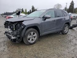 Salvage cars for sale at Graham, WA auction: 2023 Toyota Rav4 XLE