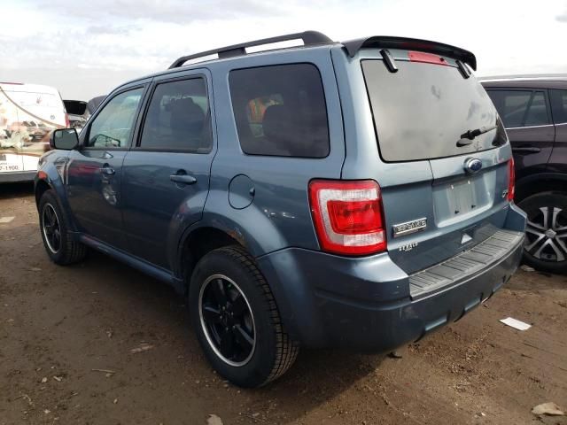 2011 Ford Escape XLT