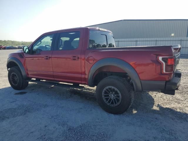 2019 Ford F150 Raptor