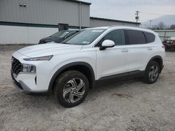 Salvage cars for sale at Leroy, NY auction: 2023 Hyundai Santa FE SEL