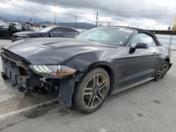 2019 Ford Mustang for sale in Sun Valley, CA