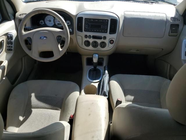 2007 Ford Escape XLT