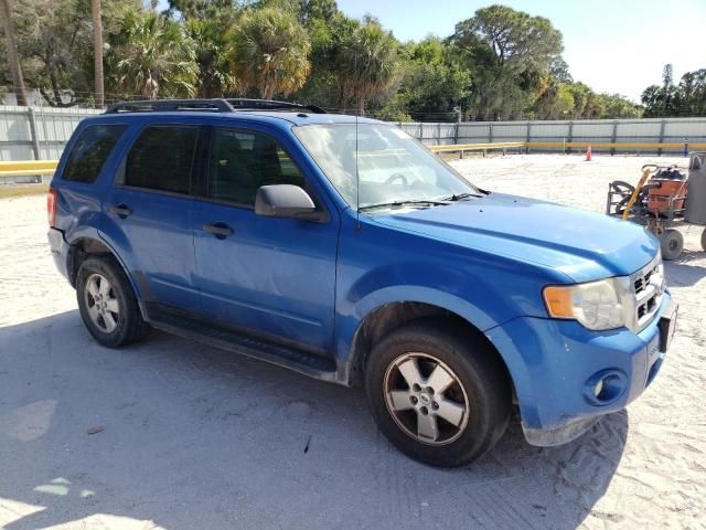 2012 Ford Escape XLT