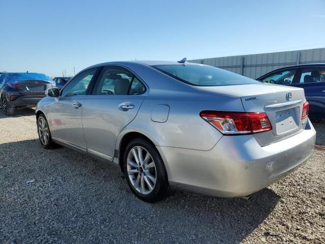 2011 Lexus ES 350