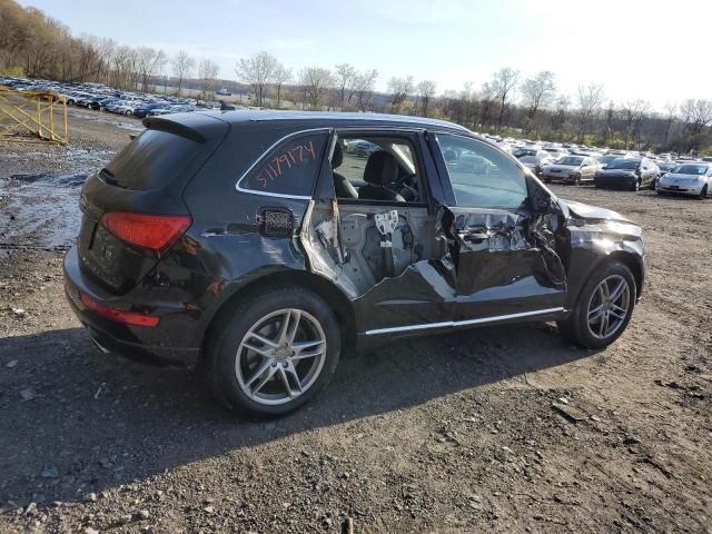 2014 Audi Q5 TDI Premium Plus