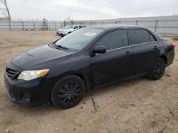 Salvage cars for sale at Adelanto, CA auction: 2013 Toyota Corolla Base