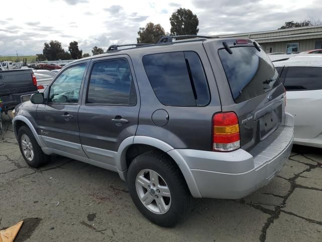 2005 Ford Escape HEV