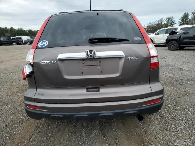 2010 Honda CR-V EX