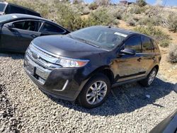 Vehiculos salvage en venta de Copart Reno, NV: 2014 Ford Edge Limited