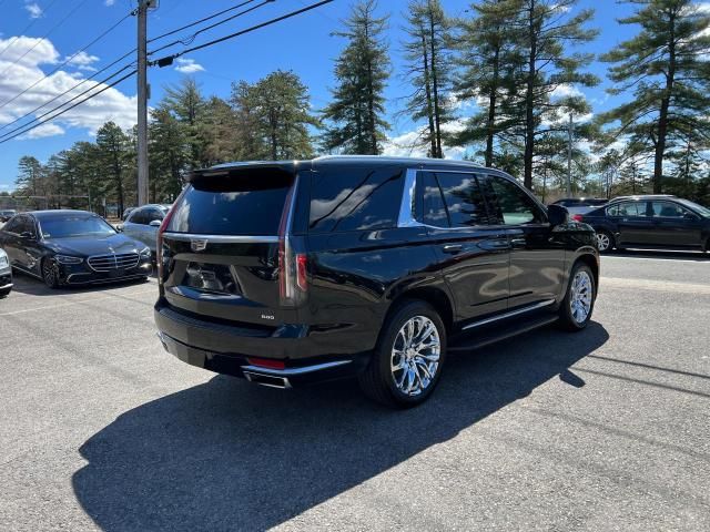 2021 Cadillac Escalade Premium Luxury