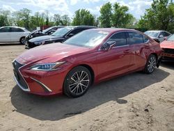 Salvage cars for sale at Baltimore, MD auction: 2021 Lexus ES 350 Base