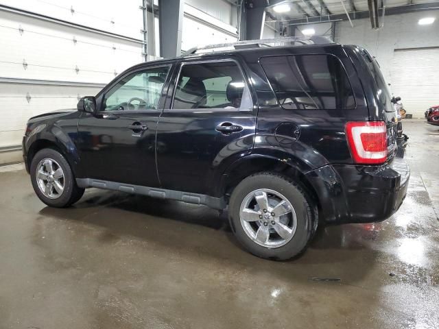 2010 Ford Escape Limited