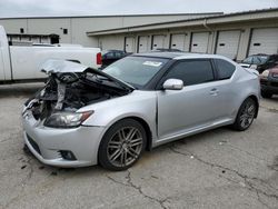 Salvage cars for sale at Louisville, KY auction: 2013 Scion TC