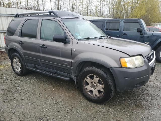 2002 Ford Escape XLT