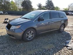 Salvage cars for sale at Madisonville, TN auction: 2012 Honda Odyssey EXL