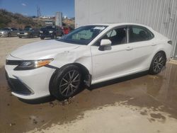 Salvage cars for sale at Reno, NV auction: 2024 Toyota Camry XLE