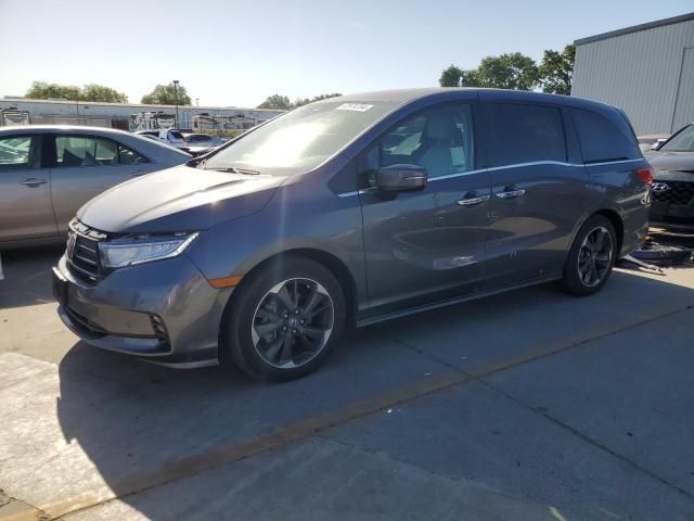 2023 Honda Odyssey Elite