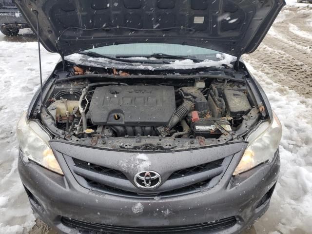 2011 Toyota Corolla Base