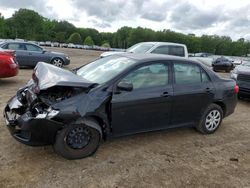 Salvage cars for sale from Copart Conway, AR: 2010 Toyota Corolla Base