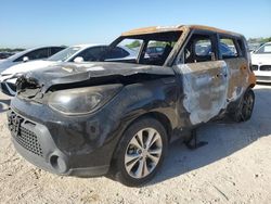 Salvage cars for sale at San Antonio, TX auction: 2015 KIA Soul +