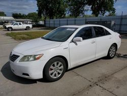 Salvage cars for sale at Sacramento, CA auction: 2008 Toyota Camry Hybrid