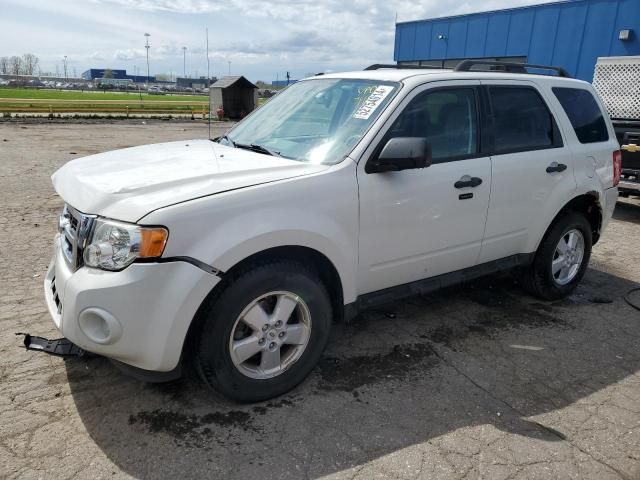 2011 Ford Escape XLT