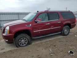 Salvage cars for sale at Appleton, WI auction: 2011 Cadillac Escalade ESV Luxury