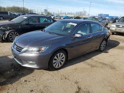 Salvage cars for sale at Woodhaven, MI auction: 2013 Honda Accord EXL