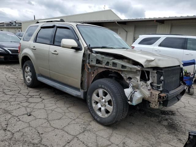 2010 Ford Escape Limited