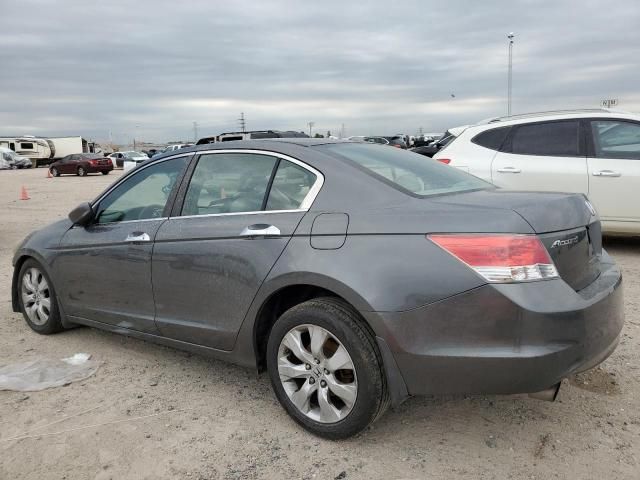 2010 Honda Accord EXL