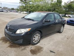 Toyota Corolla salvage cars for sale: 2009 Toyota Corolla Base