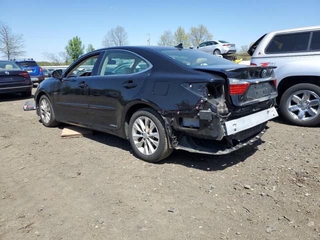 2013 Lexus ES 300H